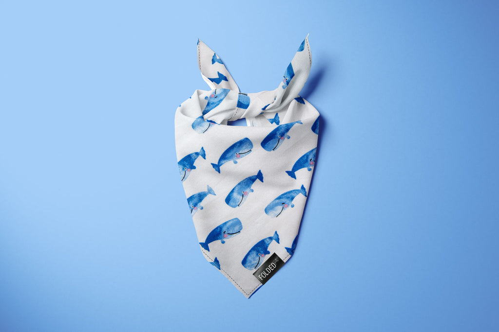 white cat bandana with whales