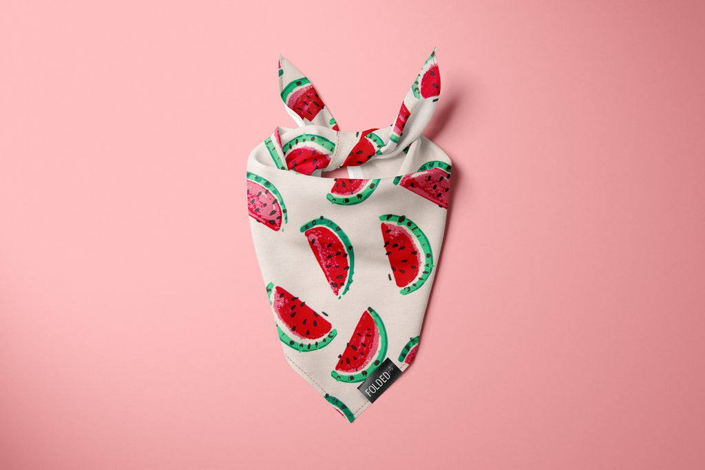 red watermelon bandana for cats