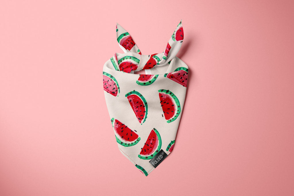 watermelon bandana for dogs